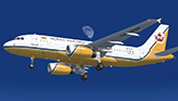 Royal Brunei - Airlines Airbus A319-132 - [V8-RBP]