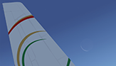 Saudi Red Crescent Authority - Airbus A318-112 CJ Elite - [HZ-RCA]