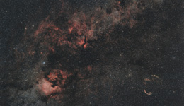 Sommerlich weites Feld