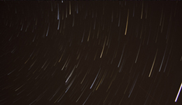 Herbstliche Strichspuren