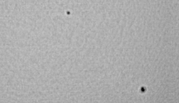 Region 10892 & 10893