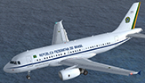 Federative Republic of Brazil - Airbus A319-133X CJ - [2101]