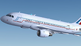 Republique Francaise - Airbus A319-115X CJ - [F-RBFA]