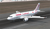 Tunisair - Airbus A319-114 - [TS-IMO]